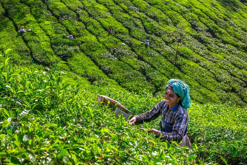 Mejores Viajes a Tamil Nadu Y Kerala
